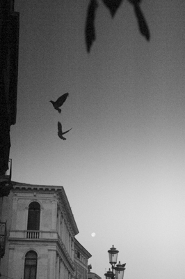 high iso Venice