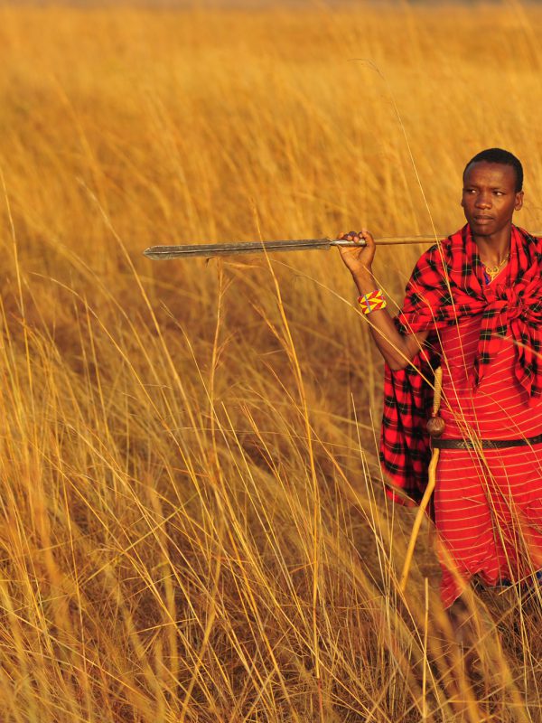 Masai Tribesman Portrait